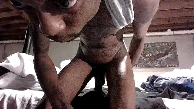 KinGKane84 from StripChat is Freechat